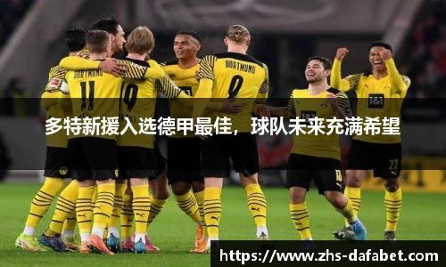 多特新援入选德甲最佳，球队未来充满希望
