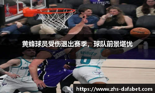 黄蜂球员受伤退出赛季，球队前景堪忧